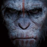 Derranged Ape's Stream profile image