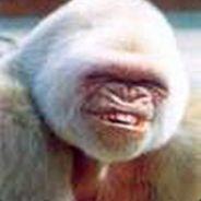 PEEEETEEER's Stream profile image
