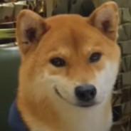 Yuri's - Steam avatar