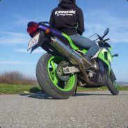 CHOVINATOR's Stream profile image