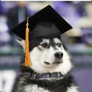 Hellnah's Stream profile image
