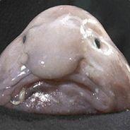 Bubble's Stream profile image