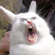 ImAFlufflyBunny's Stream profile image