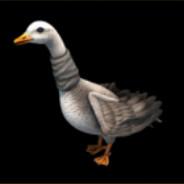 Yellowey's Stream profile image