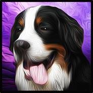 buckles's Stream profile image