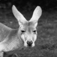 5chattenthron's Stream profile image