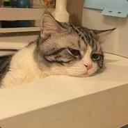 Mithrandir-C's Stream profile image
