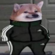 Bradimir's Stream profile image