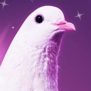 NocTuro's Stream profile image