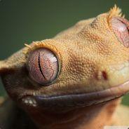 bram.leeuwen's Stream profile image
