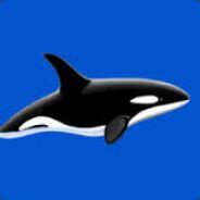 kitkasatka's Stream profile image