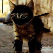 ragingjap21's - Steam avatar