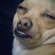 Chimichangas™'s Stream profile image