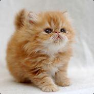 Applebranch's - Steam avatar