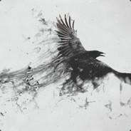 <RT>Skaarac's Stream profile image