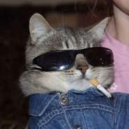 Lownty's Stream profile image