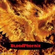 Bloodphoenix's Stream profile image