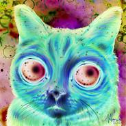 Hawkz's Stream profile image