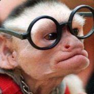 Nightdreamer's Stream profile image