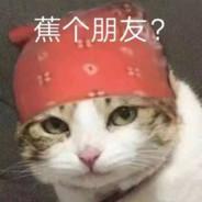 生死有命 冰狼配烟's - Steam avatar