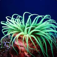 Leif Äkktionson's Stream profile image