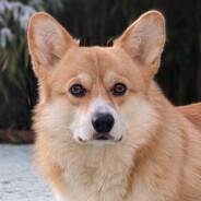 Hyfrith's Stream profile image