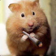 Hamsterkillaforce 007's Stream profile image