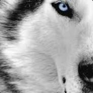 G30RG's Stream profile image