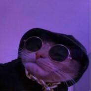 유사루우's Stream profile image