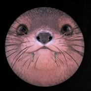 Mitchu's Stream profile image