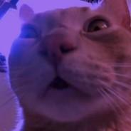 Pooria_Doust's - Steam avatar