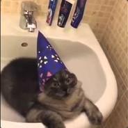 wizard nic's Stream profile image