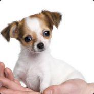 Jos-t's Stream profile image