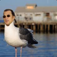 Steven Seagull's Stream profile image