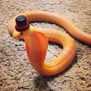 Danger Noodle's - Steam avatar