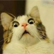 Nameless's Stream profile image