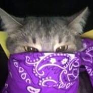 Alejandro Andrade's Stream profile image