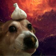 Danon's Stream profile image
