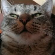 5PR1NG's Stream profile image
