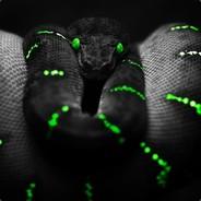 ravo49's Stream profile image