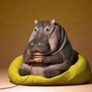 MXTS | El Teacha's Stream profile image