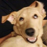 kENeth's Stream profile image