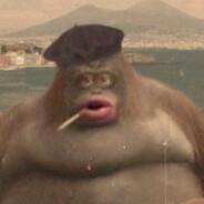 CacheOnly's Stream profile image