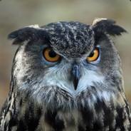 Hedgehog's Stream profile image