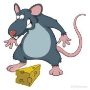 zeizei2174's Stream profile image
