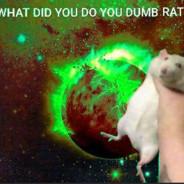 A dumb rat's Stream profile image