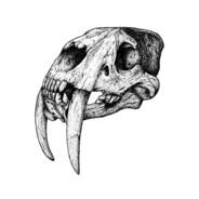morifen's Stream profile image