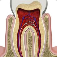 Chupi_'s Stream profile image