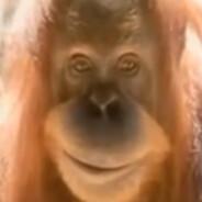 Lourolenzo's Stream profile image