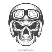 Torpedo Kvyat's Stream profile image